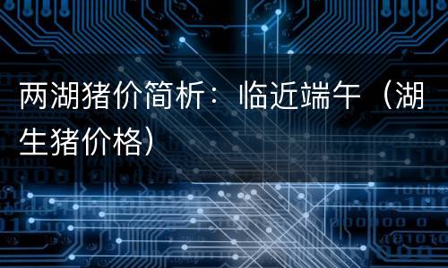 两湖猪价简析：临近端午（湖生猪价格）