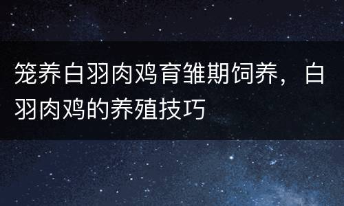 笼养白羽肉鸡育雏期饲养，白羽肉鸡的养殖技巧
