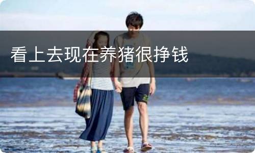 看上去现在养猪很挣钱