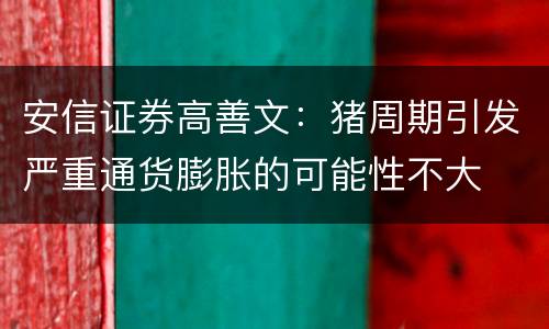 安信证券高善文：猪周期引发严重通货膨胀的可能性不大