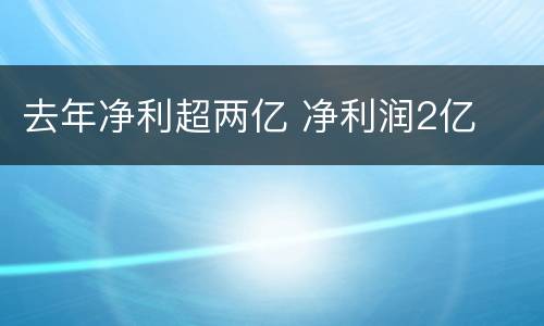 去年净利超两亿 净利润2亿