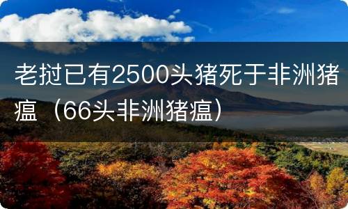 老挝已有2500头猪死于非洲猪瘟(66头非洲猪瘟)