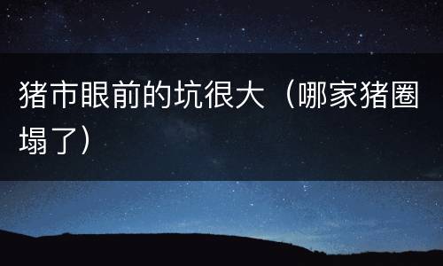 猪市眼前的坑很大（哪家猪圈塌了）