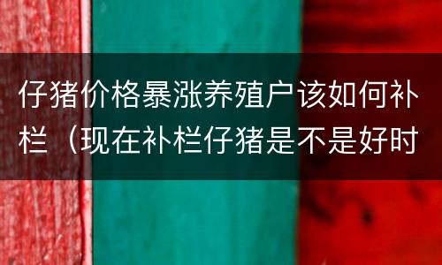 仔猪价格暴涨养殖户该如何补栏（现在补栏仔猪是不是好时机）