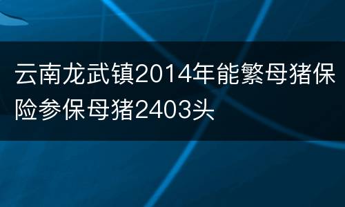 云南龙武镇2014年能繁母猪保险参保母猪2403头