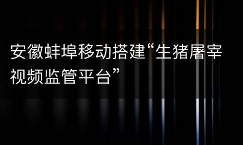 安徽蚌埠移动搭建“生猪屠宰视频监管平台”