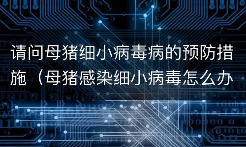 请问母猪细小病毒病的预防措施（母猪感染细小病毒怎么办）