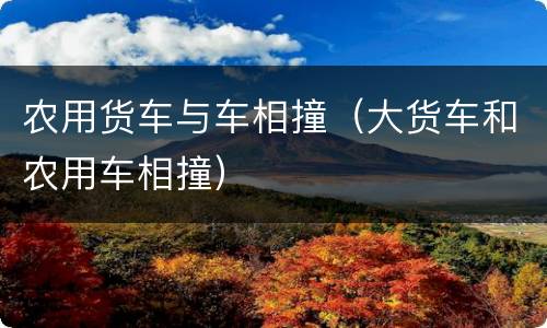 农用货车与车相撞（大货车和农用车相撞）