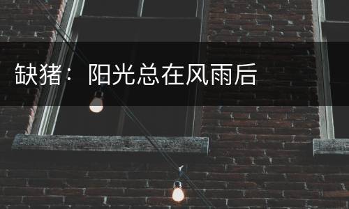 缺猪：阳光总在风雨后