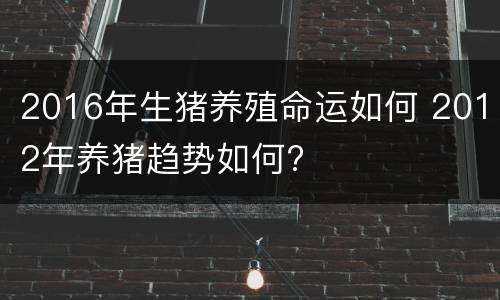 2016年生猪养殖命运如何 2012年养猪趋势如何?