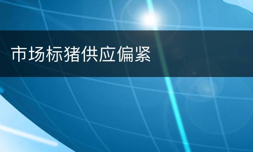 市场标猪供应偏紧