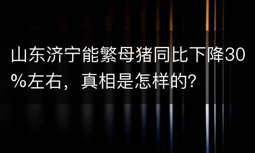 山东济宁能繁母猪同比下降30%左右，真相是怎样的？