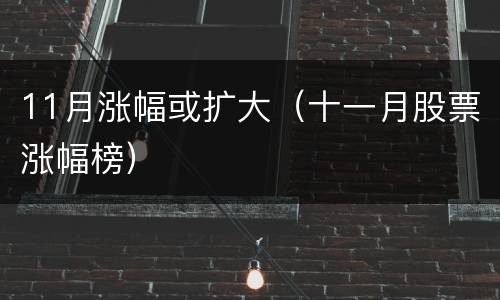 11月涨幅或扩大（十一月股票涨幅榜）