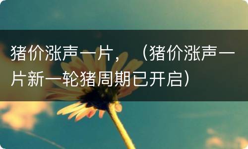 猪价涨声一片，（猪价涨声一片新一轮猪周期已开启）