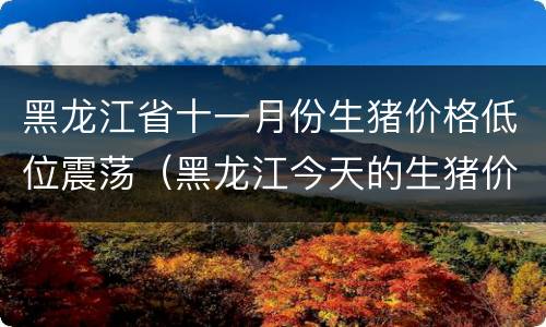 黑龙江省十一月份生猪价格低位震荡（黑龙江今天的生猪价格是多少钱一斤）