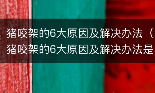 猪咬架的6大原因及解决办法（猪咬架的6大原因及解决办法是什么）