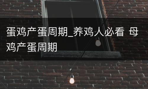 蛋鸡产蛋周期_养鸡人必看 母鸡产蛋周期