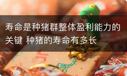 寿命是种猪群整体盈利能力的关键 种猪的寿命有多长