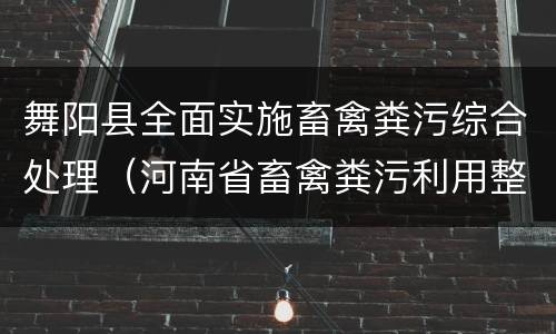 舞阳县全面实施畜禽粪污综合处理（河南省畜禽粪污利用整县推进）