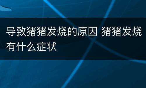 导致猪猪发烧的原因 猪猪发烧有什么症状