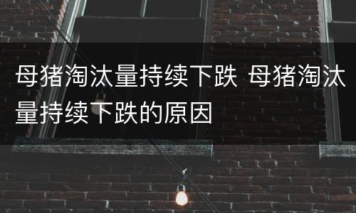 母猪淘汰量持续下跌 母猪淘汰量持续下跌的原因