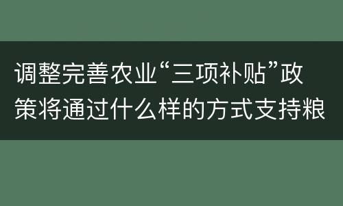 调整完善农业“三项补贴”政策将通过什么样的方式支持粮食经营?