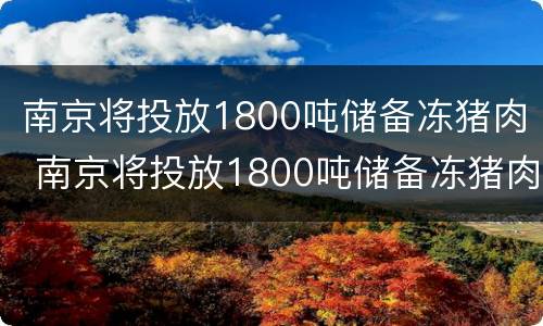 南京将投放1800吨储备冻猪肉 南京将投放1800吨储备冻猪肉的企业