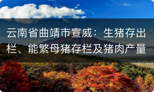 云南省曲靖市宣威：生猪存出栏、能繁母猪存栏及猪肉产量均位居全省