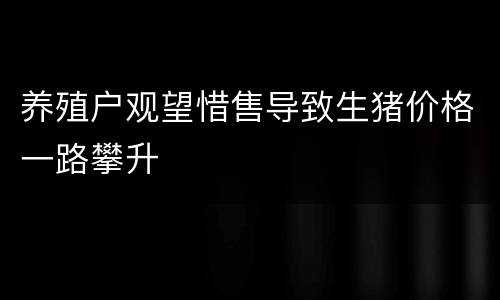 养殖户观望惜售导致生猪价格一路攀升