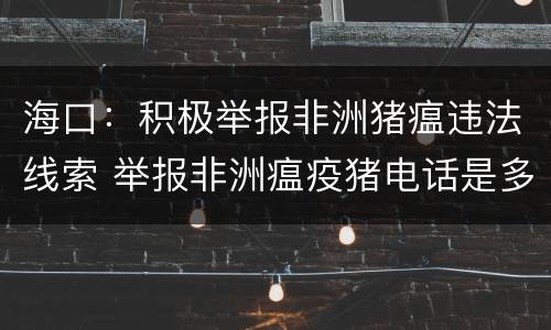 海口：积极举报非洲猪瘟违法线索 举报非洲瘟疫猪电话是多少