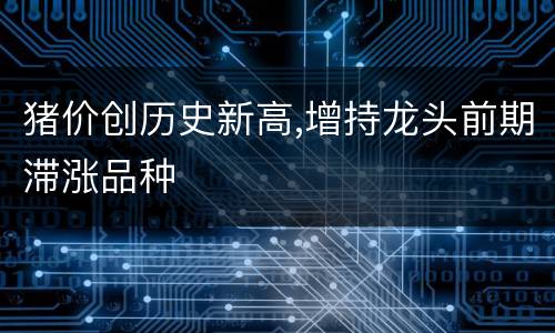 猪价创历史新高,增持龙头前期滞涨品种