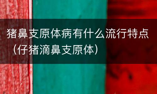 猪鼻支原体病有什么流行特点（仔猪滴鼻支原体）