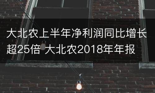 大北农上半年净利润同比增长超25倍 大北农2018年年报