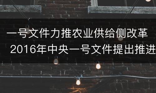 一号文件力推农业供给侧改革 2016年中央一号文件提出推进农业