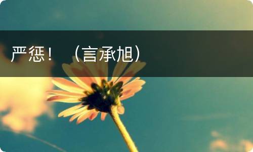 严惩！（言承旭）