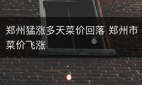 郑州猛涨多天菜价回落 郑州市菜价飞涨