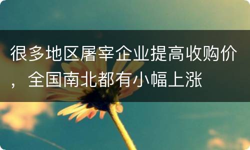 很多地区屠宰企业提高收购价，全国南北都有小幅上涨