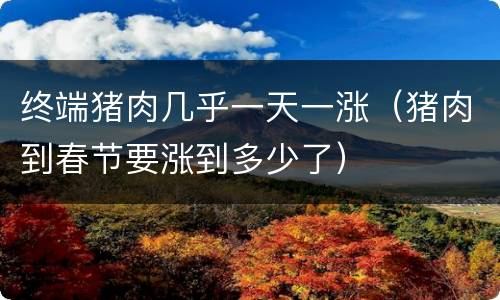 终端猪肉几乎一天一涨（猪肉到春节要涨到多少了）