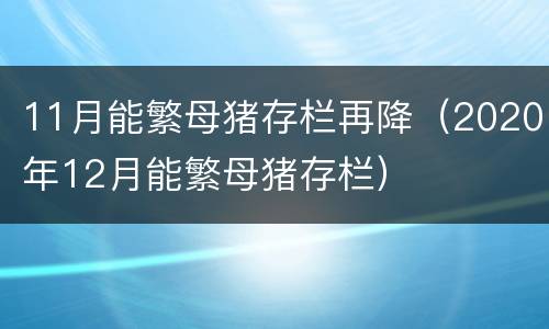 11月能繁母猪存栏再降（2020年12月能繁母猪存栏）
