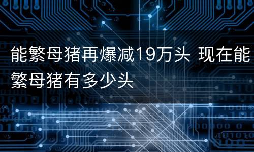 能繁母猪再爆减19万头 现在能繁母猪有多少头