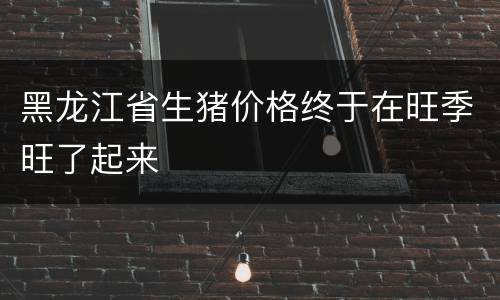 黑龙江省生猪价格终于在旺季旺了起来