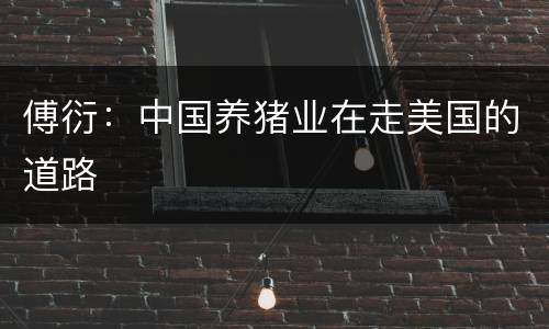 傅衍：中国养猪业在走美国的道路