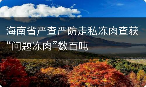 海南省严查严防走私冻肉查获“问题冻肉”数百吨