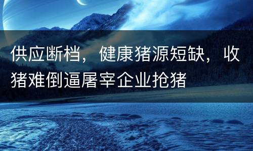 供应断档，健康猪源短缺，收猪难倒逼屠宰企业抢猪