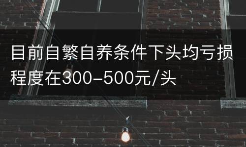 目前自繁自养条件下头均亏损程度在300-500元/头