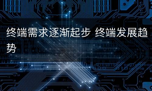 终端需求逐渐起步 终端发展趋势
