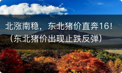 北涨南稳，东北猪价直奔16！（东北猪价出现止跌反弹）