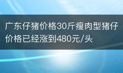 广东仔猪价格30斤瘦肉型猪仔价格已经涨到480元/头