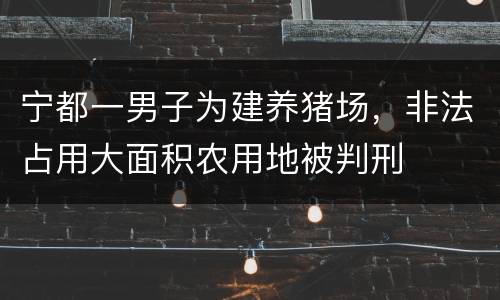 宁都一男子为建养猪场，非法占用大面积农用地被判刑