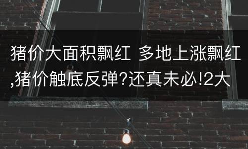 猪价大面积飘红 多地上涨飘红,猪价触底反弹?还真未必!2大判断信号